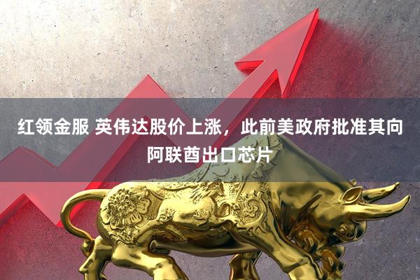 红领金服 英伟达股价上涨，此前美政府批准其向阿联酋出口芯片
