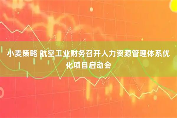 小麦策略 航空工业财务召开人力资源管理体系优化项目启动会