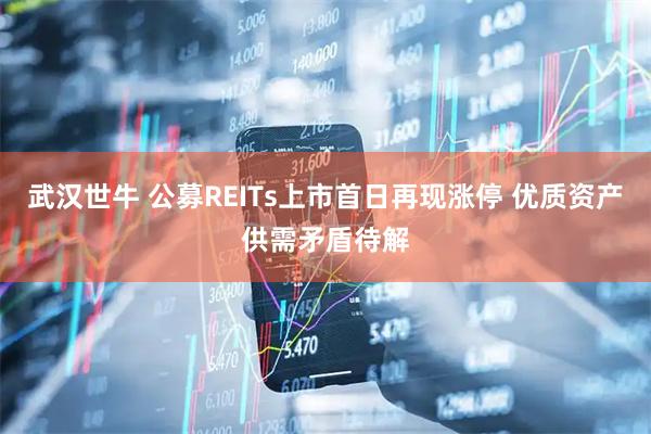 武汉世牛 公募REITs上市首日再现涨停 优质资产供需矛盾待解