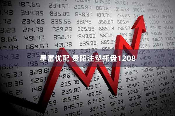 星富优配 贵阳注塑托盘1208