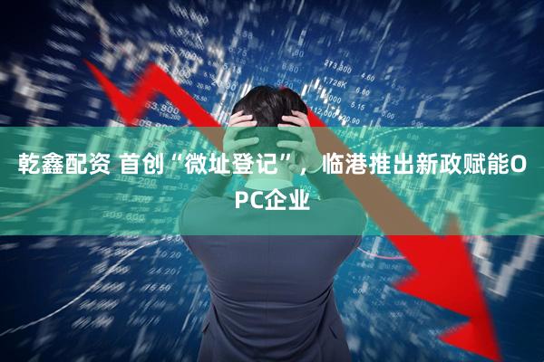 乾鑫配资 首创“微址登记”，临港推出新政赋能OPC企业