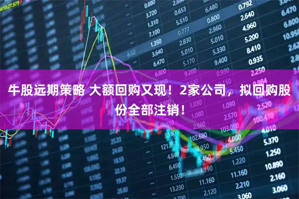 牛股远期策略 大额回购又现!2家公司,拟回购股份全部注销!